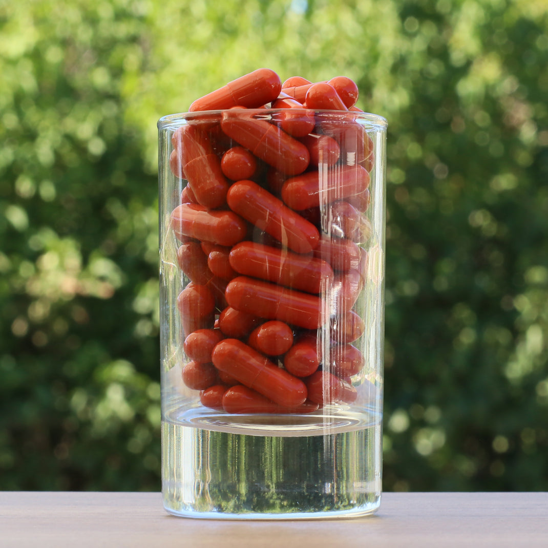 FEMNOX Gelée Royale + Inositol + Folsäure + B12 Komplex • 90 Kapseln