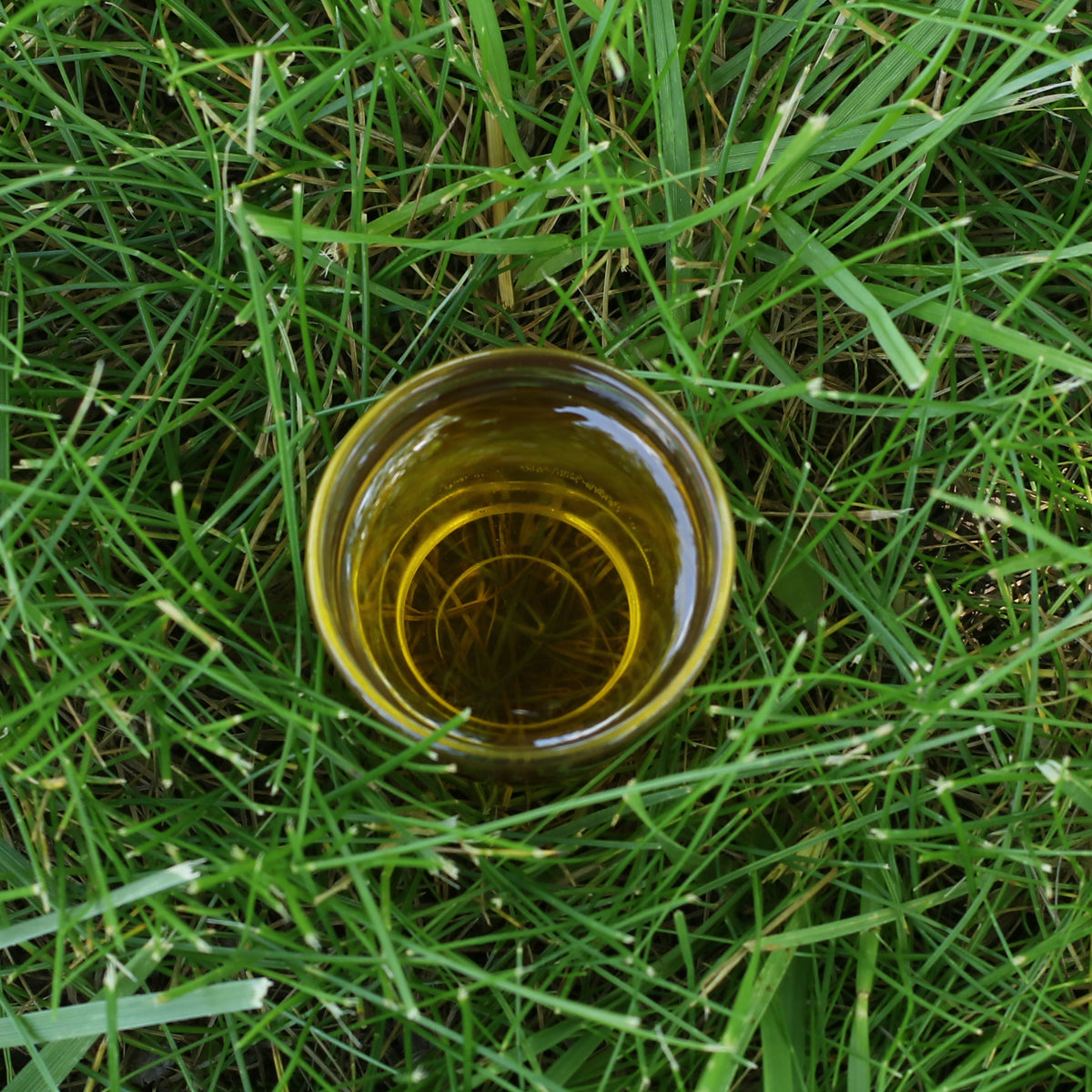 Mannavita Ungarisches kaltgepresstes Traubenkernöl • 250 ml