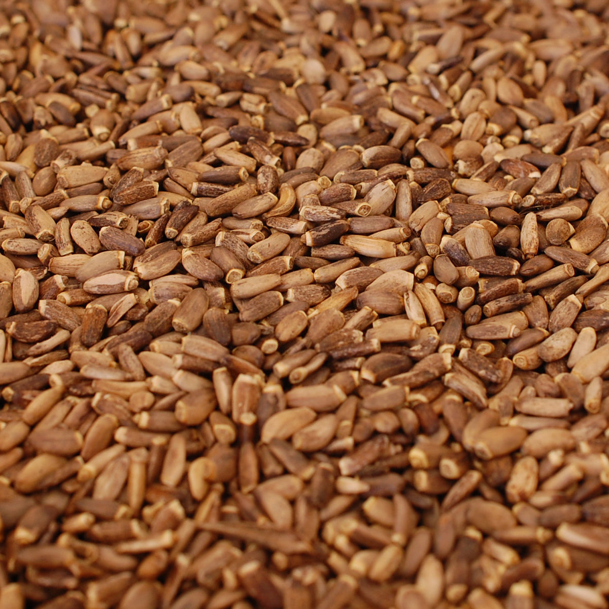 Mannavita Ungarisches kaltgepresstes Mariendistelsamenöl • 250 ml