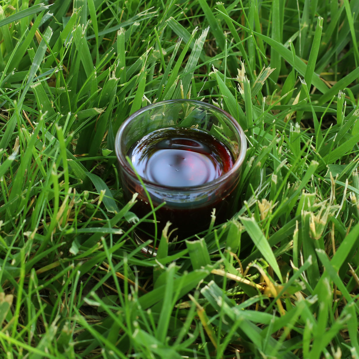 Mannavita Ungarisches kaltgepresstes Kürbiskernöl • 250 ml