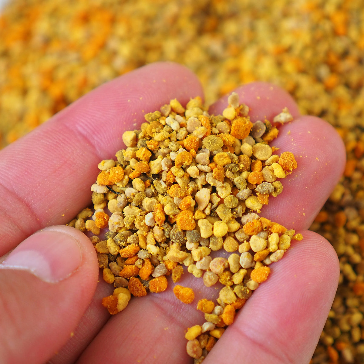 Mannavita getrockneter multifloraler Blütenpollen • 500 g