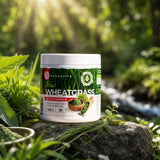 Mannavita Weizengrassaft-Getränkepulver • glutenfrei • 140g