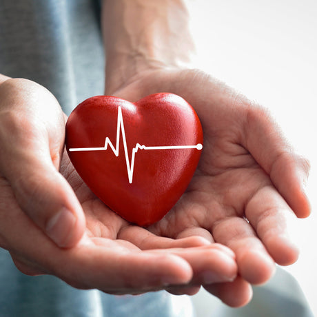 CARDIOZIN blutdrucknormalisierende aktive Kräuterteemischung • 80g