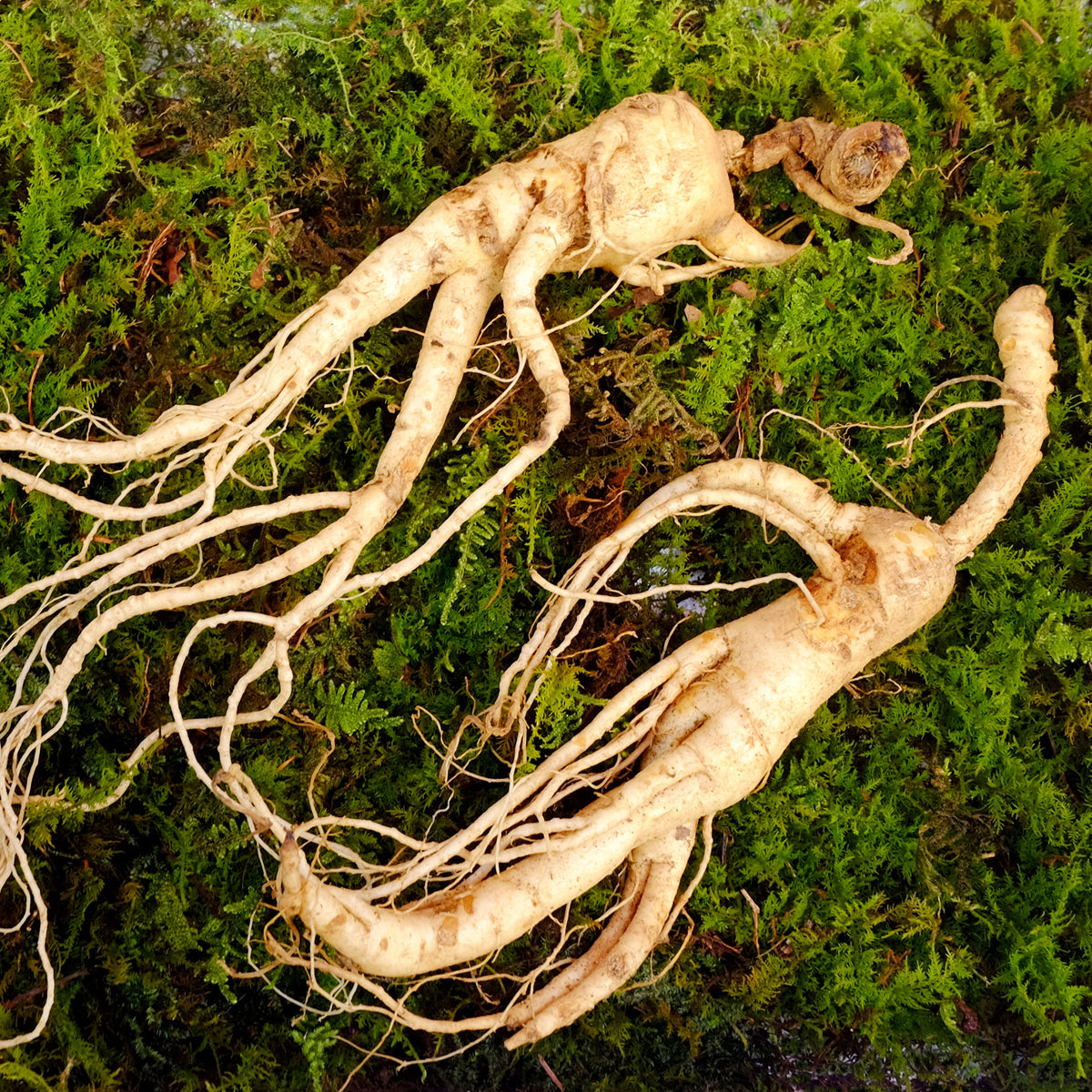 ENDOQIN Manpower Forte • 90 Kapseln