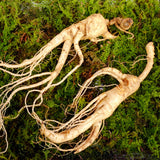 ENDOQIN Manpower Forte • 90 Kapseln