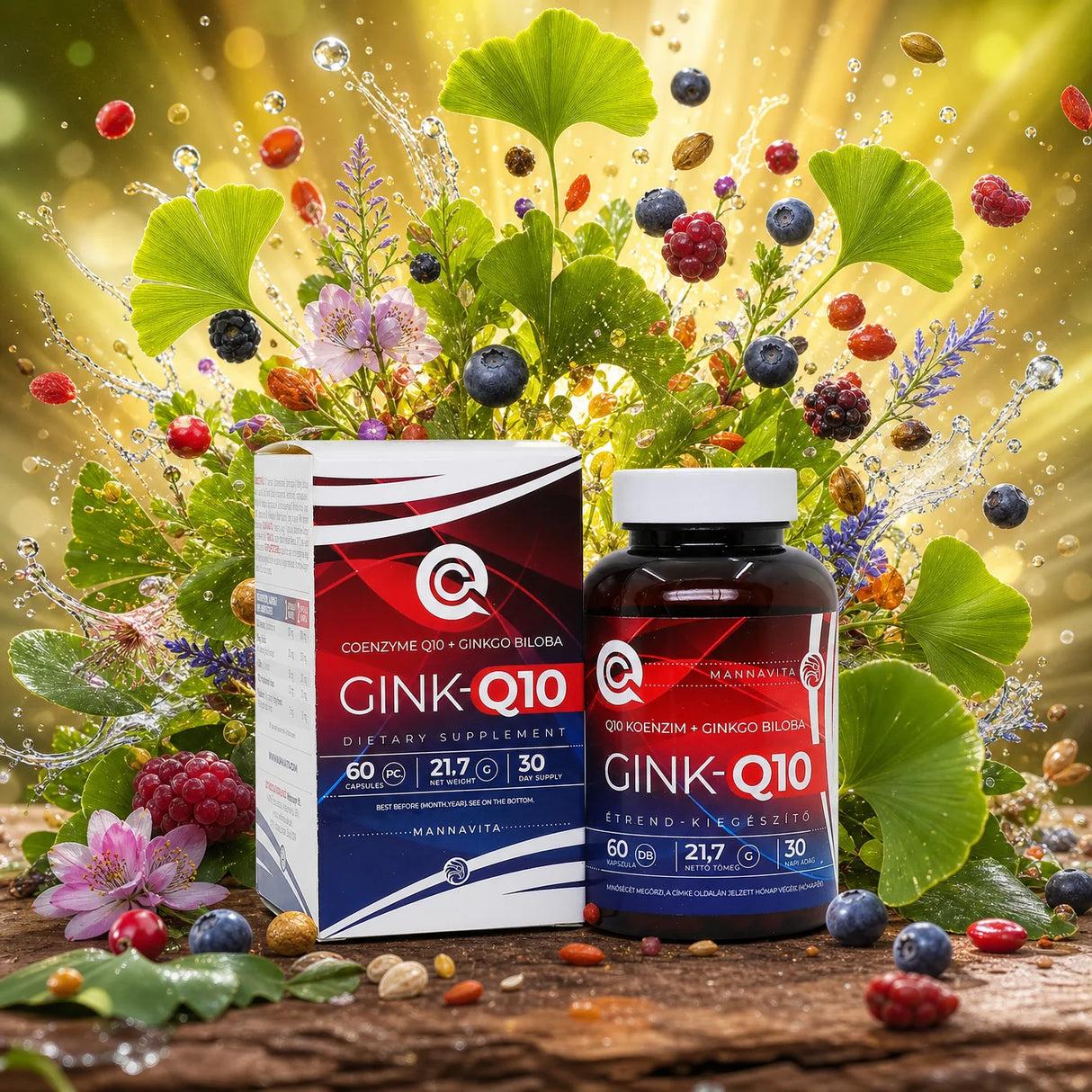 GINK-Q10 • Q10 Coenzym + Ginkgo Biloba Komplex • 60 Kapseln