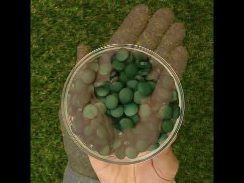 Mannavita Spirulina 500 mg Tabletten • 180 Stk.