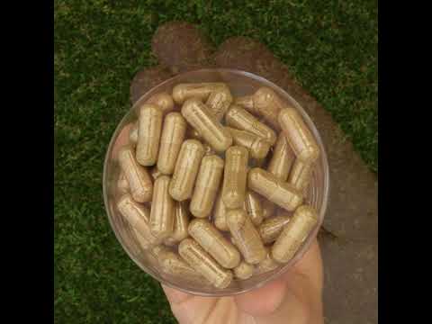 HEPADEX Leberregenerierender und Lebergesundheitsfördernder Komplex • 60 Kapseln