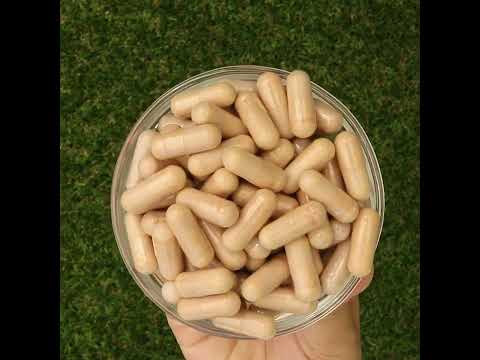 PrOcum Augenstärkungskomplex • 60 Kapseln