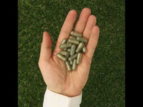 IMUNEX Algenkomplex • mit 5 Algen • 180 Kapseln