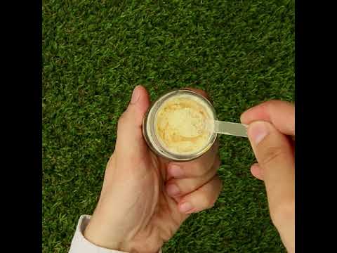 Konzentriertes Gelée Royale PULVER mit 6% 10-HDA-Gehalt • 60g