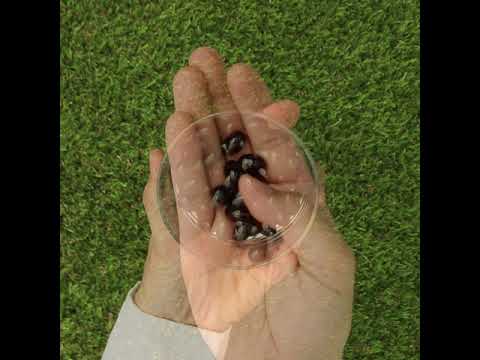 MegaKRILL 1500 mg Krillöl + Fischöl • 90 Kapseln