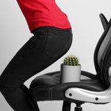 Proctan Salbe gegen Hämorrhoiden • 50 ml