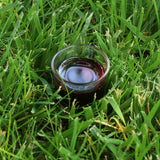 Mannavita Ungarisches kaltgepresstes Kürbiskernöl • 250 ml