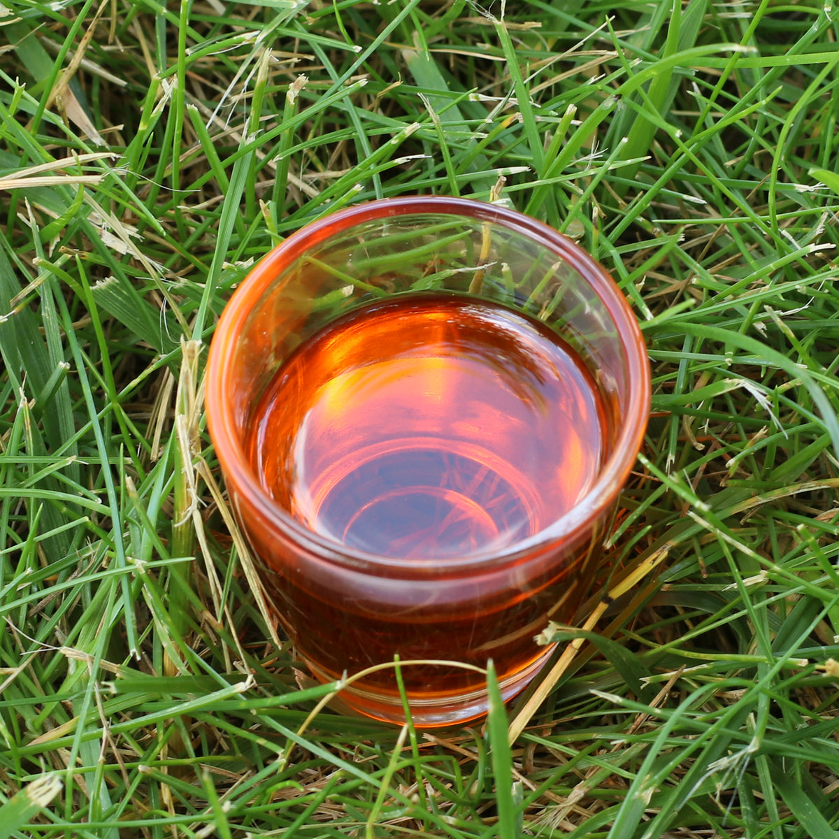 Mannavita Ungarisches kaltgepresstes Sanddornkernöl • 40 ml