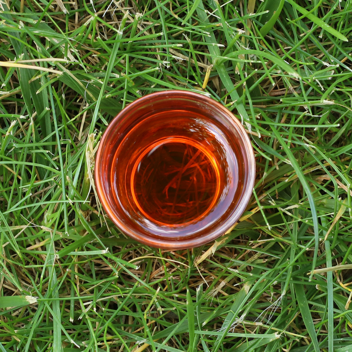 Mannavita Ungarisches kaltgepresstes Sanddornkernöl • 40 ml