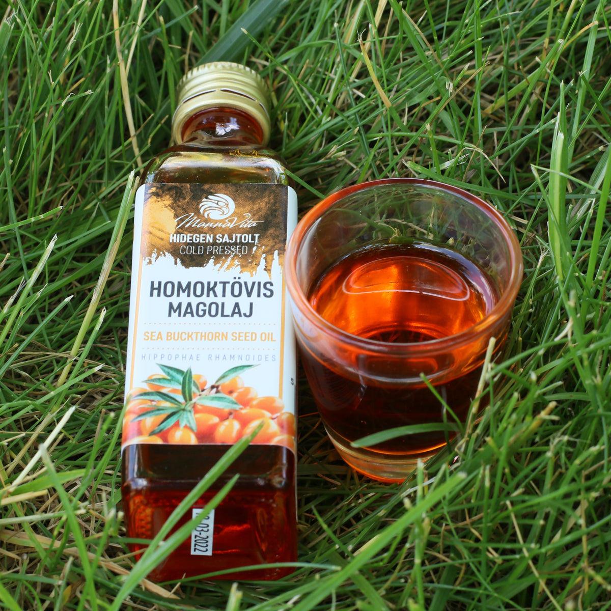 Mannavita Ungarisches kaltgepresstes Sanddornkernöl • 40 ml